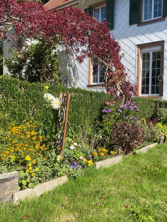 Bed and Breakfast La Vieille Eglise Le Hohwald Esterno foto